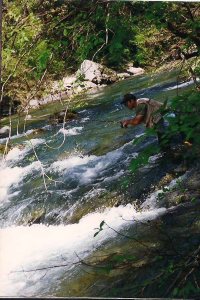 Steve working the stream