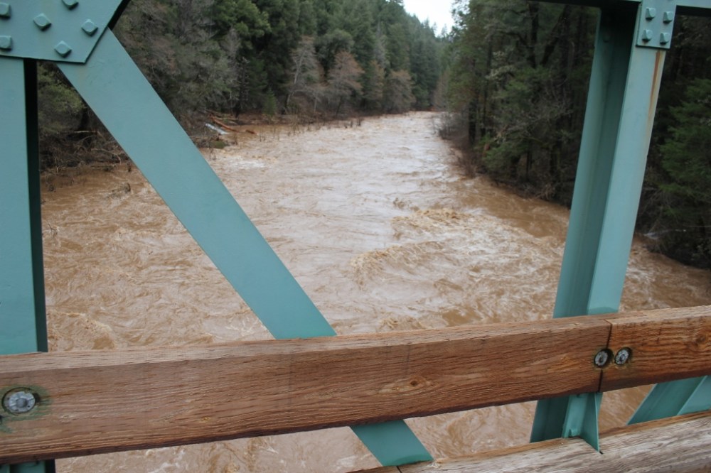 IMG_8751 (1024x683).jpg